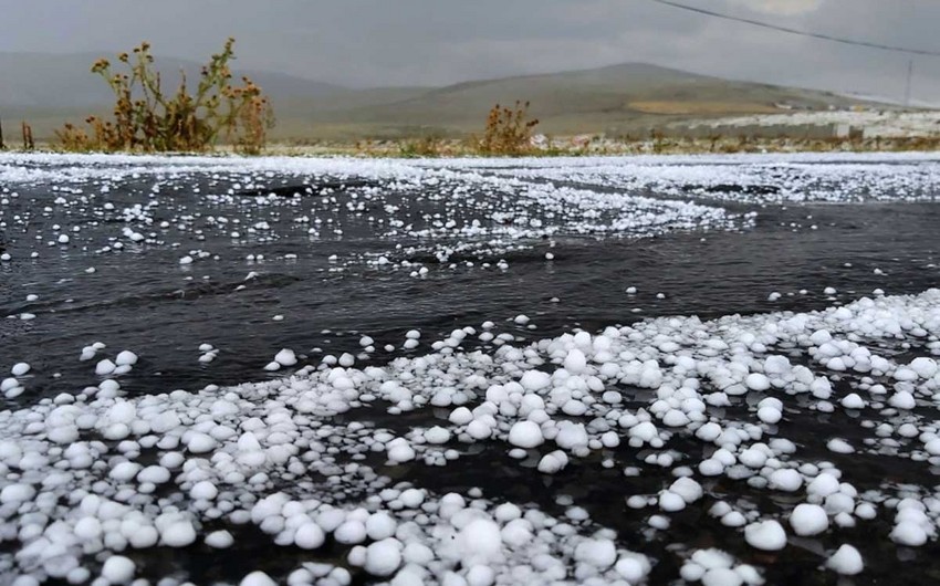 Oğuza dolu düşüb, meyvə ağaclarına və təsərrüfatlara ziyan dəyib