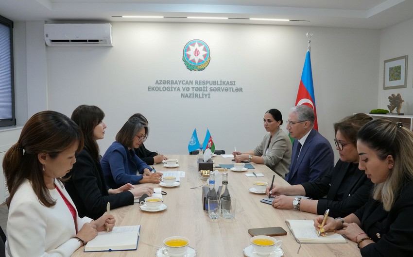 Muxtar Babayev BMT rəsmisi ilə COP29-a hazırlığı müzakirə edib