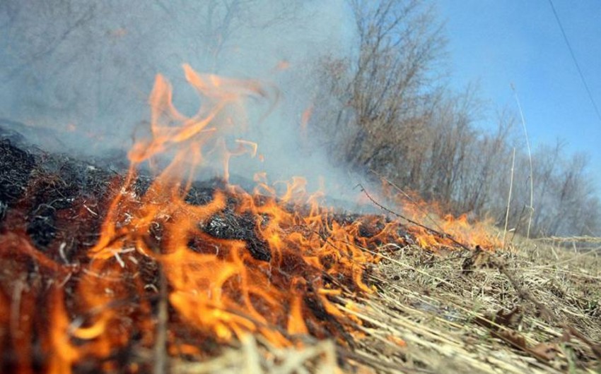 Hidrometeorologiya Xidməti isti günlərdə yanğına həssas bölgələri açıqlayıb