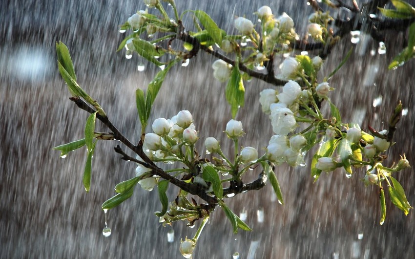 Havanın temperaturu iqlim normasından yuxarı olub – FAKTİKİ HAVA